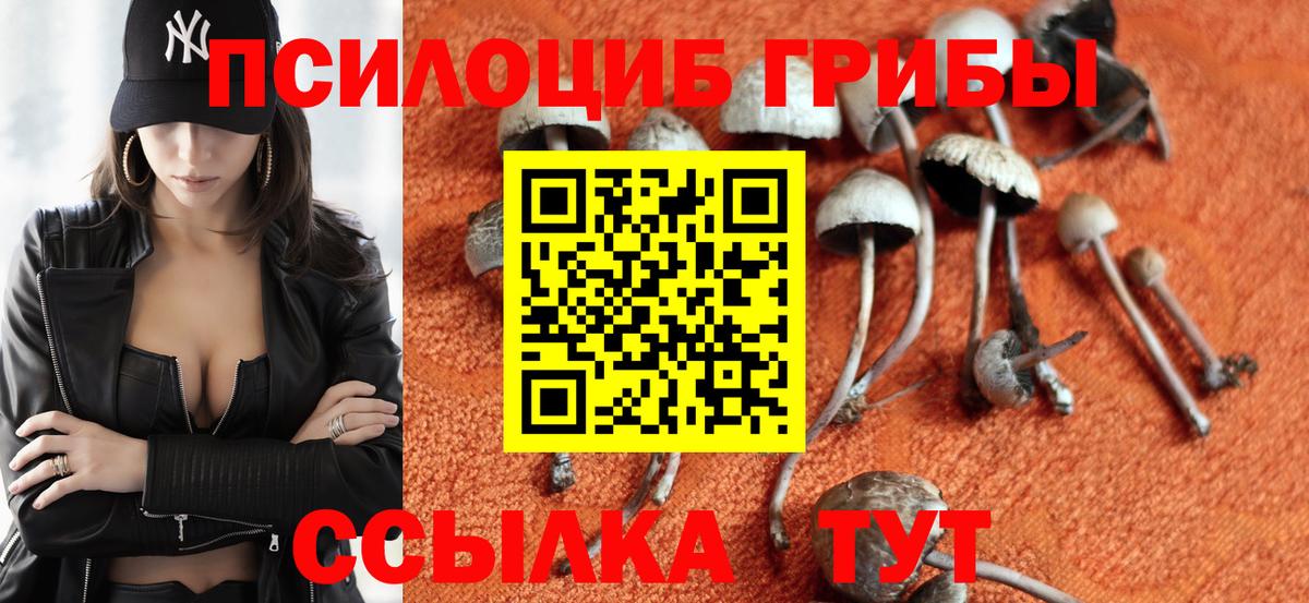 Псилоцибиновые грибы Magic Shrooms  Вход с VPN  Нефтеюганск  Псилоцибиновые грибы Psilocybe 